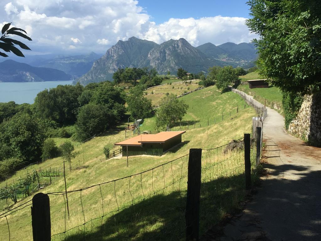 L'Isola Dei Sapori Daire Monte Isola Dış mekan fotoğraf